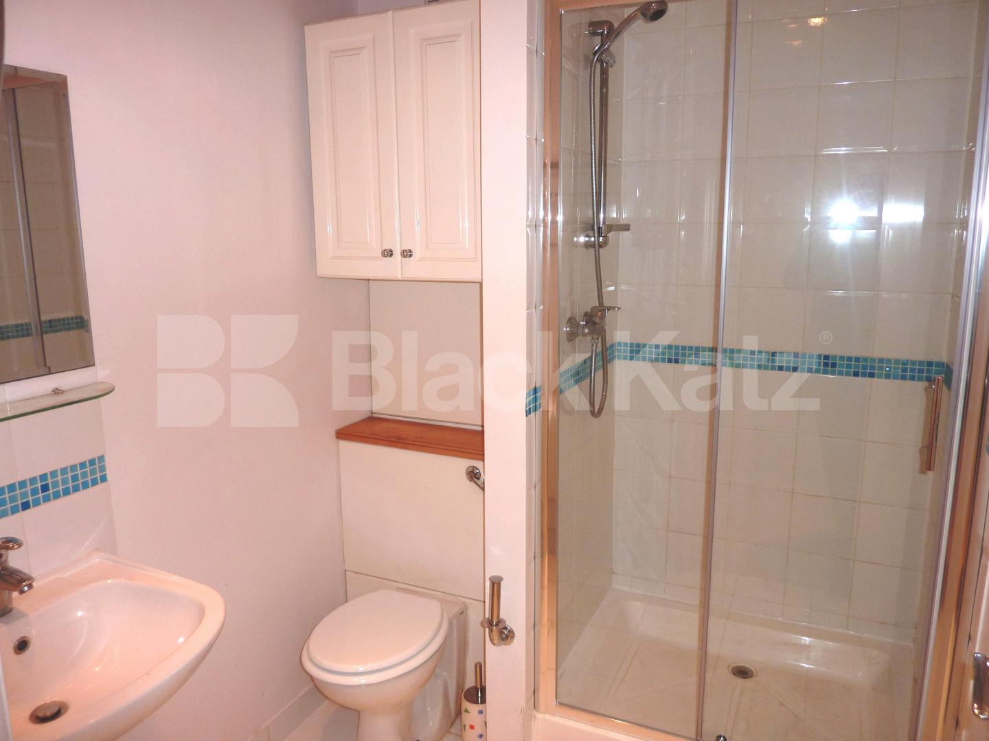 			NEW INSTRUCTION!, 1 Bedroom, 1 bath, 1 reception Flat			 Wicklow Street, KINGS CROSS